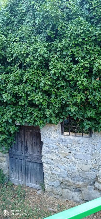 Agriturismo Vecchio Frantoio Villatella المظهر الخارجي الصورة