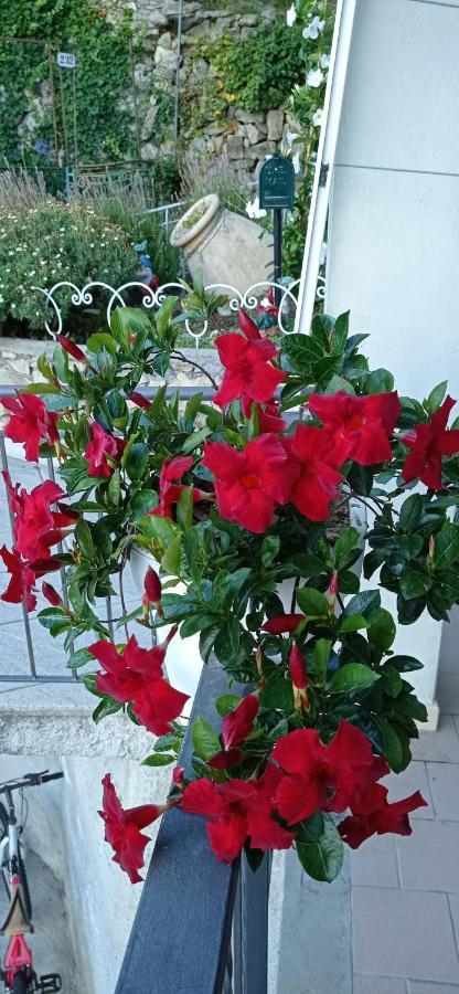 Agriturismo Vecchio Frantoio Villatella المظهر الخارجي الصورة