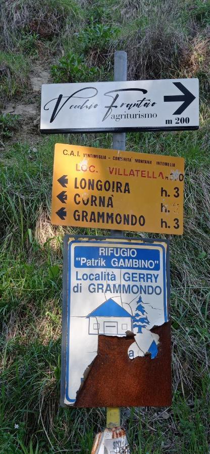 Agriturismo Vecchio Frantoio Villatella المظهر الخارجي الصورة