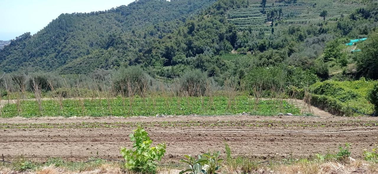 Agriturismo Vecchio Frantoio Villatella المظهر الخارجي الصورة