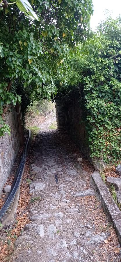 Agriturismo Vecchio Frantoio Villatella المظهر الخارجي الصورة