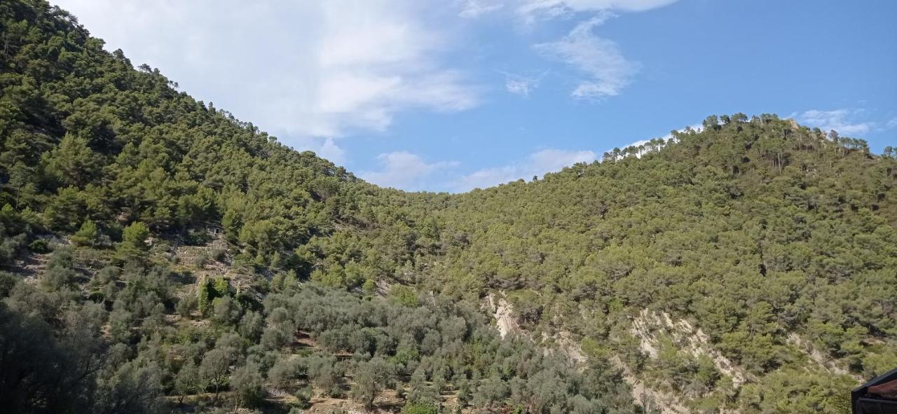 Agriturismo Vecchio Frantoio Villatella المظهر الخارجي الصورة
